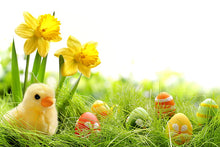 Load image into Gallery viewer, Easter Treat Box

