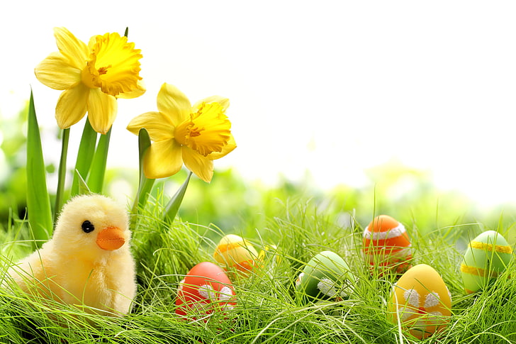 Easter Treat Box